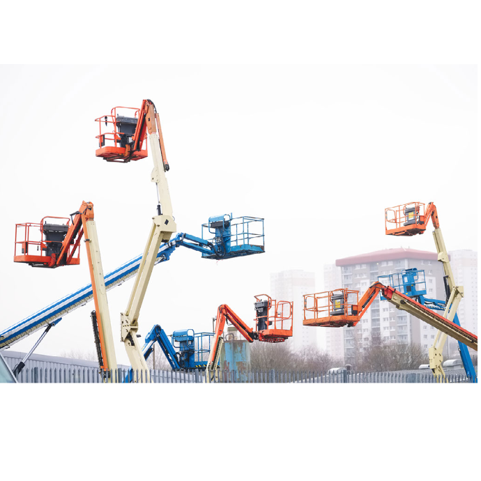 Access Platform Inspection Service