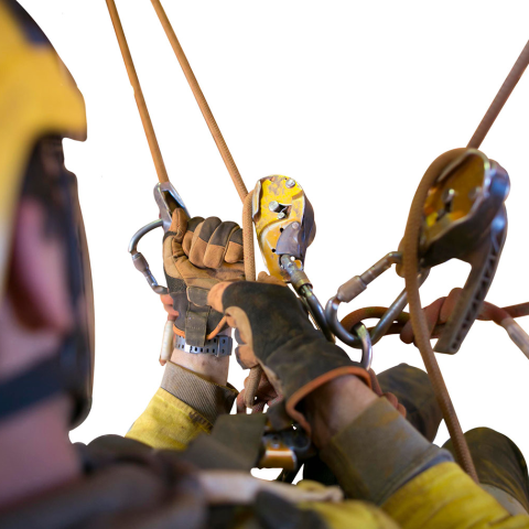 Descender Inspection Service