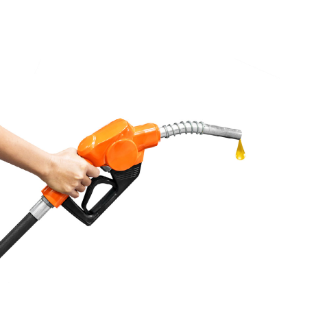 Fuel Expenses Inspection Service