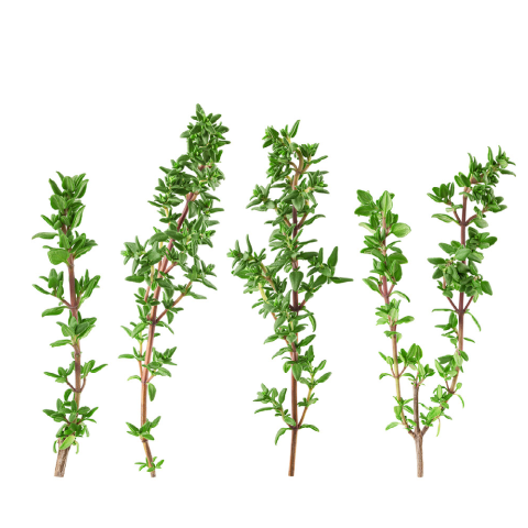 Mixing Plant Inspection Service