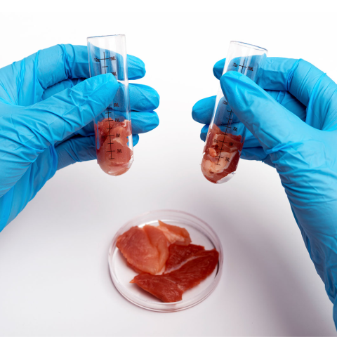 خدمة فحص وجبات الطعام