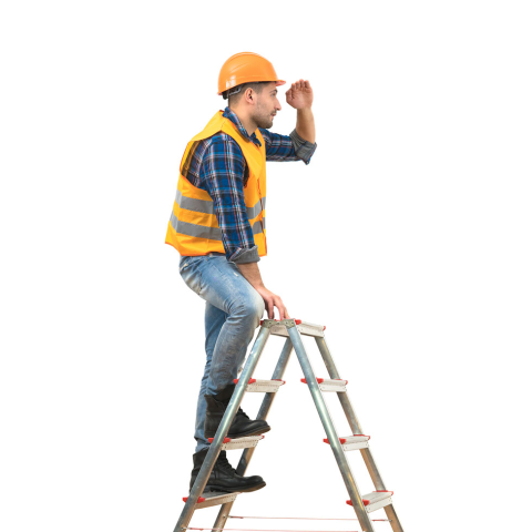 Ladders Inspection